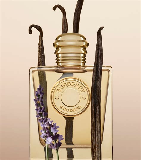 burberry goddess perfume 30ml|best price burberry goddess.